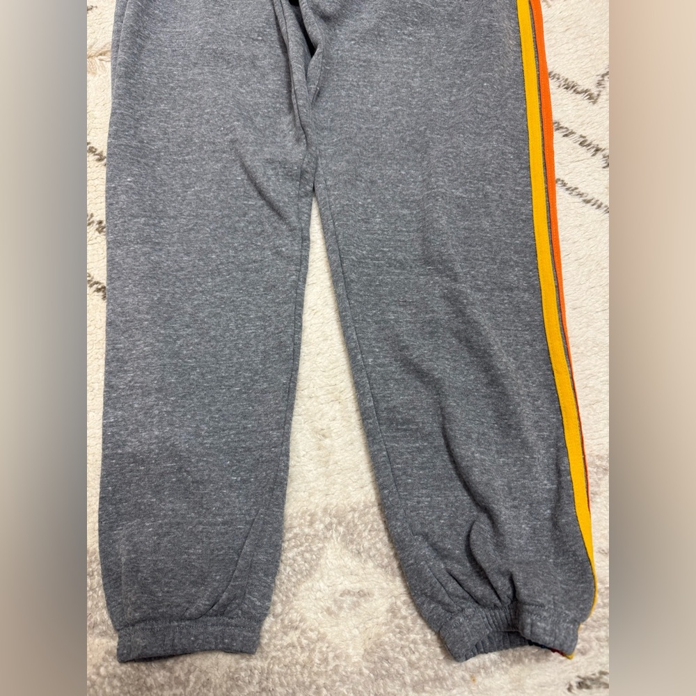 Aviator Nation Stripe Sweatpants - Picture 8 of 14